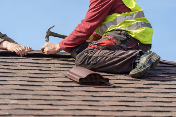 Best Roof Gutter Cleaning  in West Point, UT
