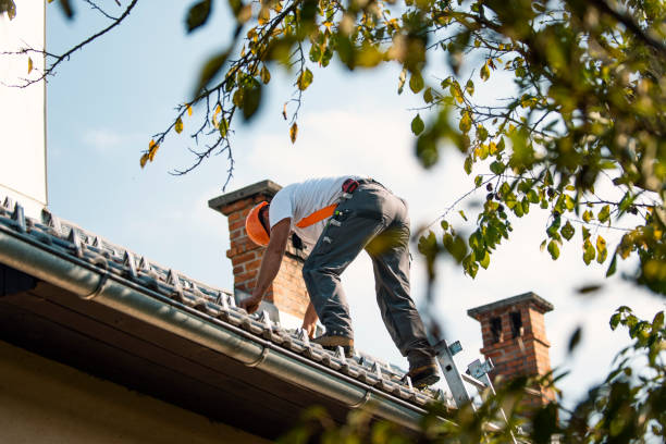 Quick and Trustworthy Emergency Roof Repair Services in West Point, UT