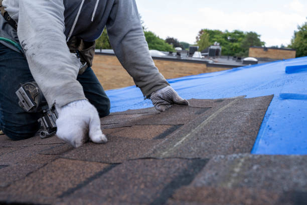 Gutter Installation and Roofing in West Point, UT