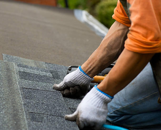 Best Local Roofing Companies  in West Point, UT