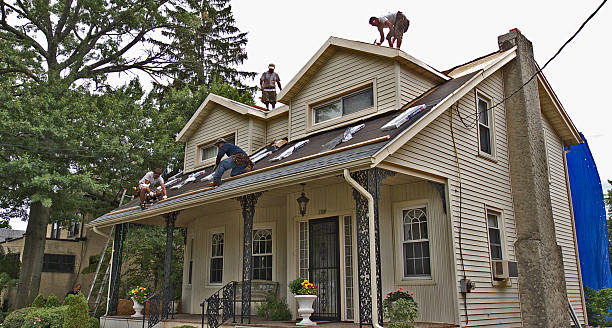 Best Storm Damage Roof Repair  in West Point, UT